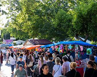 Impressionen Seehaenfest