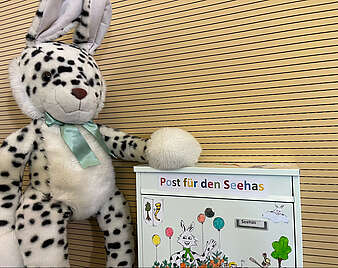 Seehasenspielfigur und Briefkasten.  (Foto: Stadt Friedrichshafen)