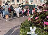 Seehas-Kuscheltier sitzt in Blumenkübel vor Eingang von Disneyland mit Menschen-Schlange.