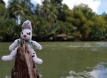 Seehas-Kuscheltier sitzt auf Holz vor Fluss und Vegetation