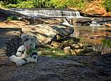 Kuscheltier-Hase sitzt vor Wasserfall