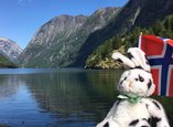 Seehas-Kuscheltier mit norwegischer Fahne vor Bergkulisse in Fjord