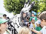 Hasenklee Seehasenfest